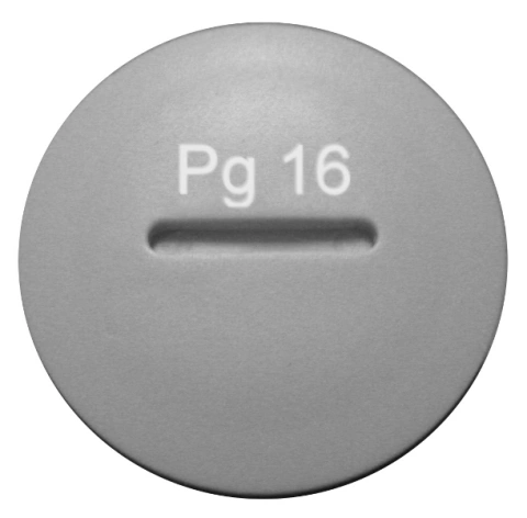 Dop PG din poliamidă-PG16