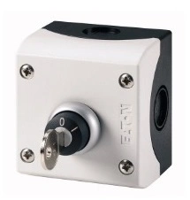 Buton cu revenire cu cheie, 1ND+1NI