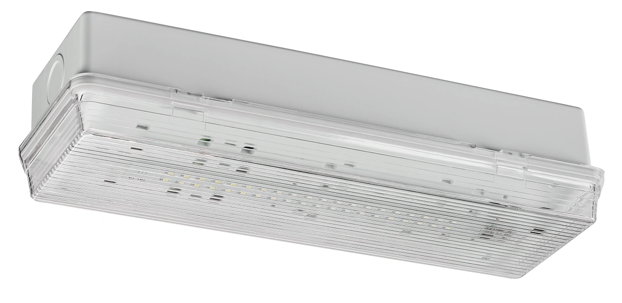 Corp de iluminat de securitate SECURO 24 PRO C1 HP-LED 24VDC