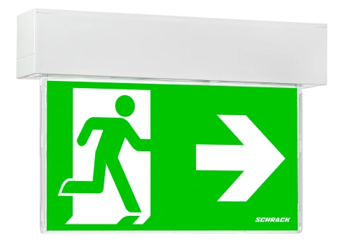 Corp iluminat de securitate SECURO24 PRO R1 LED 24VDC VD=24m