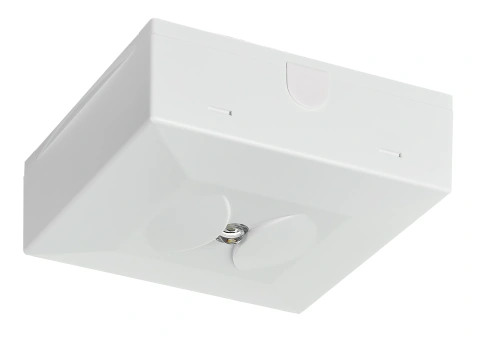 Corp iluminat de securitate SECURO 24 PRO S2 ERT-LED 24V DC
