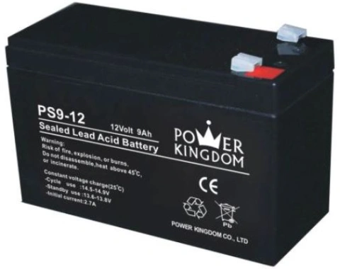Baterie Power Kingdom PS curent mare 12V/9,0Ah