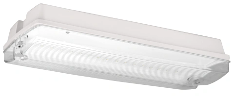 Corp il sig K5 LED 3W 230VAC 3h 130Lm IP65 cu LED indicator_2