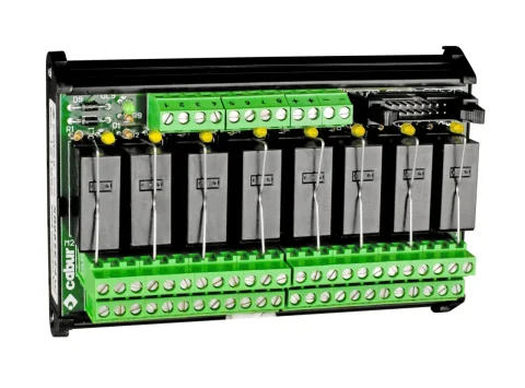 Module cu relee