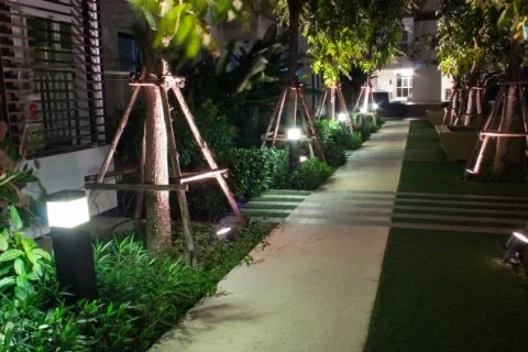 Alei si Gradina LED
