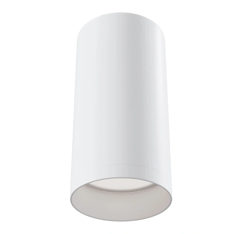 Spot de Tavan Aplicat C010CL-01W_1