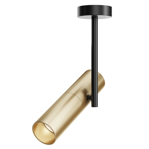 Spot de Tavan Reglabil C020CL-01GB