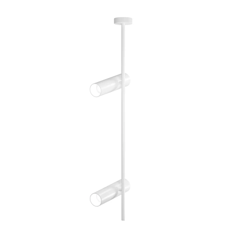 Spot de Tavan Reglabil C021CL-02W