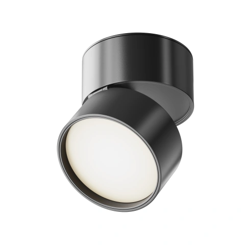 Spot de Tavan Reglabil C024CL-L12B4K