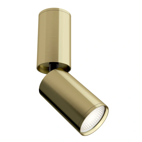Spot de Tavan Reglabil C051CL-01BS
