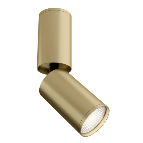 Spot de Tavan Reglabil C051CL-01MG
