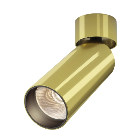Spot de Tavan Reglabil C055CL-L12W3K-W-BS