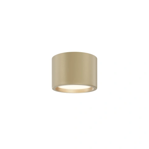 Spot de Tavan Aplicat C090CL-10W3K-MG