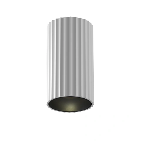 Spot de Tavan Aplicat C106CL-01-GU10-W
