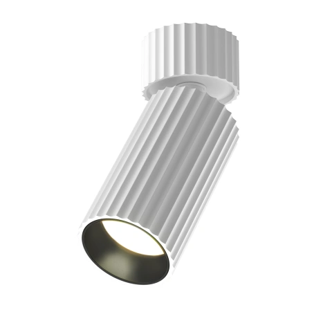 Spot de Tavan Aplicat C108CL-01-GU10-W