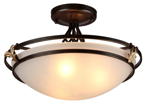 Aplica de Tavan C232-CL-03-R