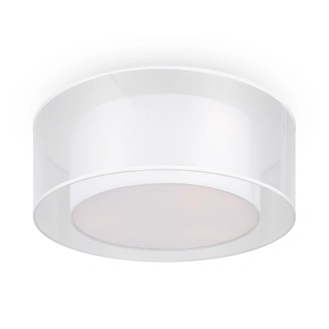 Aplica de Tavan MOD613CL-03W1