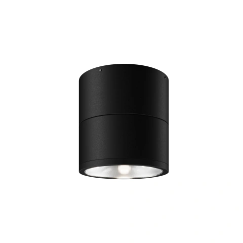 Aplica de Tavan Exterior O310CL-L12GF3K