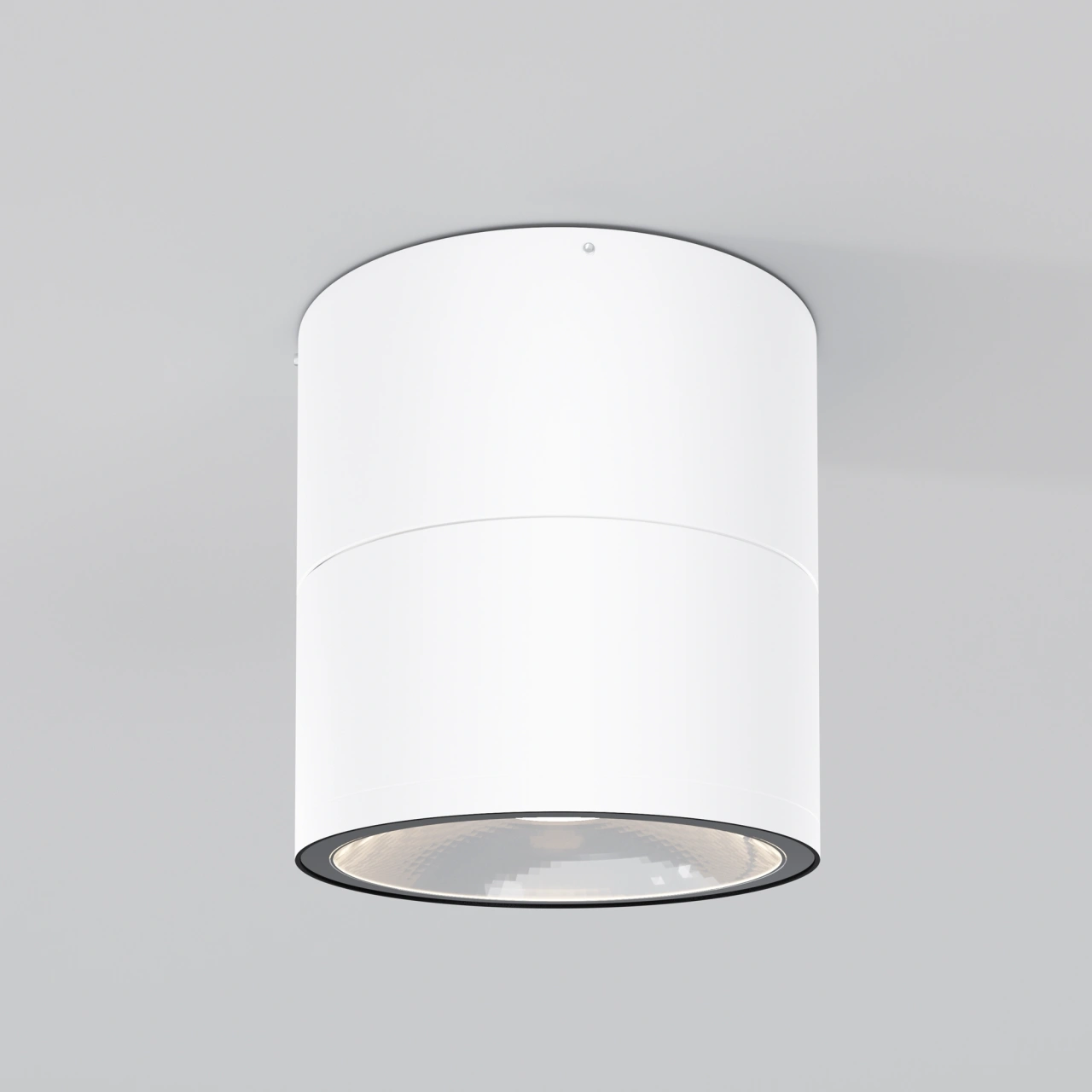 Aplica de Tavan Exterior O310CL-L12W3K