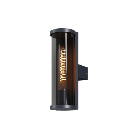 Aplica de Perete Exterior O451WL-01GF