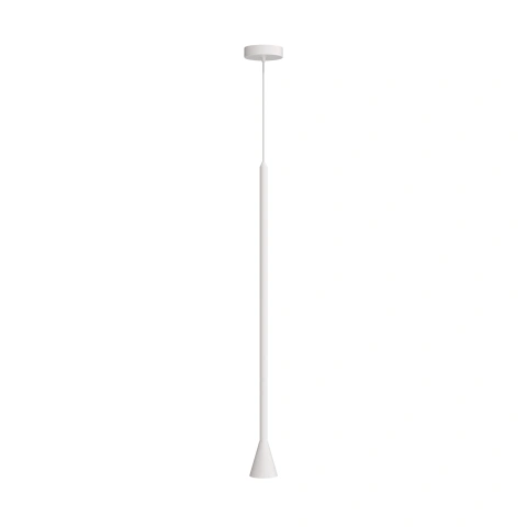 Pendul luminaire P064PL-01W