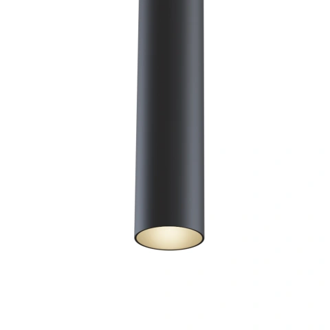 Pendul track luminaire TR016-2-12W3K-B_2