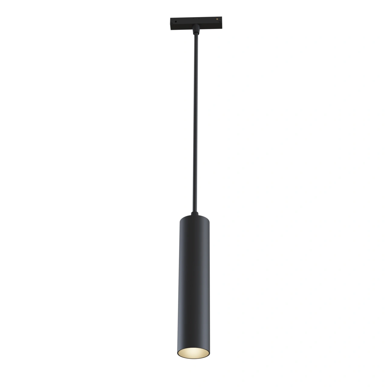 Pendul track luminaire TR016-2-12W4K-B