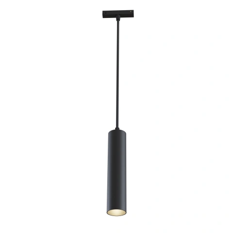 Pendul track luminaire TR016-2-12W4K-B