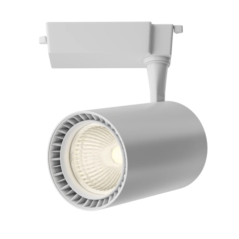 Spot pe Sina Reglabil TR003-1-15W3K-S-W
