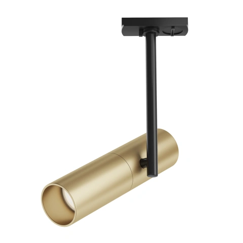 Spot Reglabil pe Sina TR005-1-GU10-BG